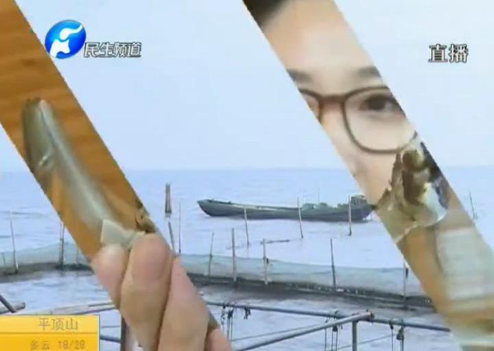 陽澄湖大閘蟹？假的！