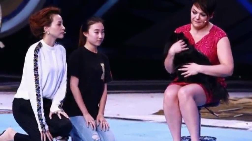 又當(dāng)托？ 董卿節(jié)目現(xiàn)場當(dāng)眾對(duì)狗下跪稱被催眠