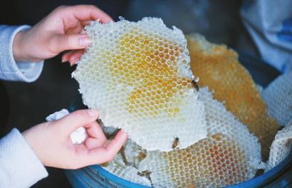 低價蜂蜜 低價蜂蜜