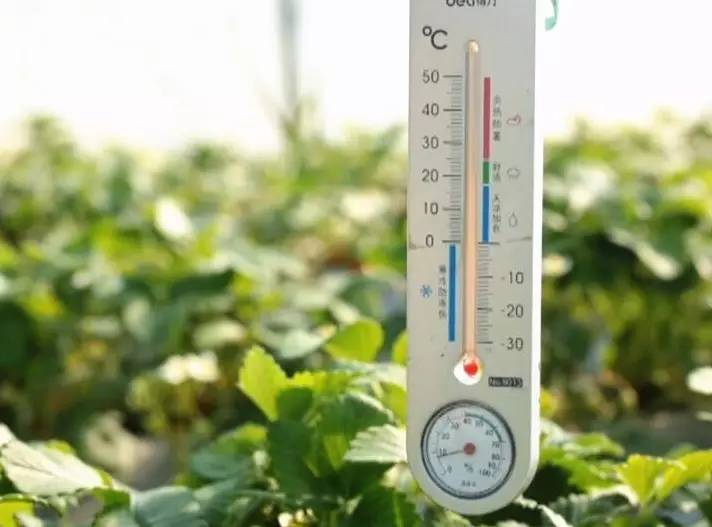 溫度監(jiān)測(cè)