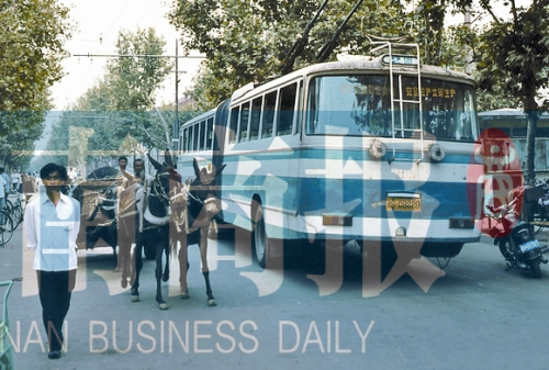 當年的伏牛路，驢車和公交車并行